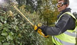 Hedge Trimmers