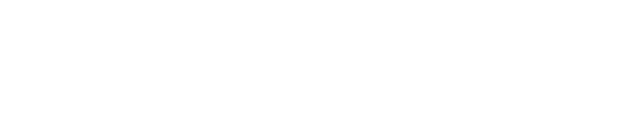 Einhell Logo