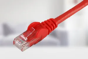 Cat6 Ethernet Leads